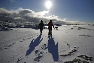 Shadow Prints: Two women walk their dogs along a frozen snow covered beach in Chicago